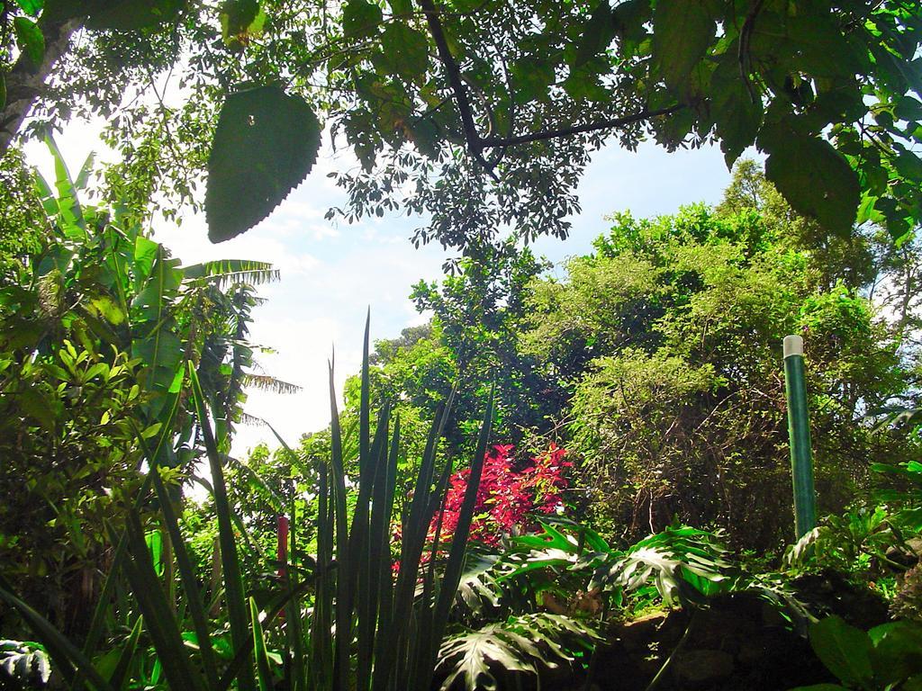 Casa Dell Angelo Apartamentos Visconde de Mauá Exteriér fotografie