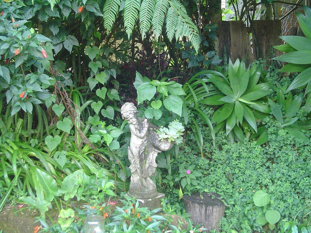 Casa Dell Angelo Apartamentos Visconde de Mauá Exteriér fotografie